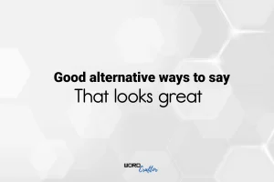 Good alternative ways to say "That looks great"